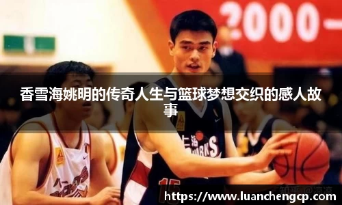 香雪海姚明的传奇人生与篮球梦想交织的感人故事