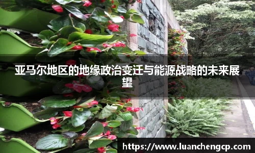 亚马尔地区的地缘政治变迁与能源战略的未来展望